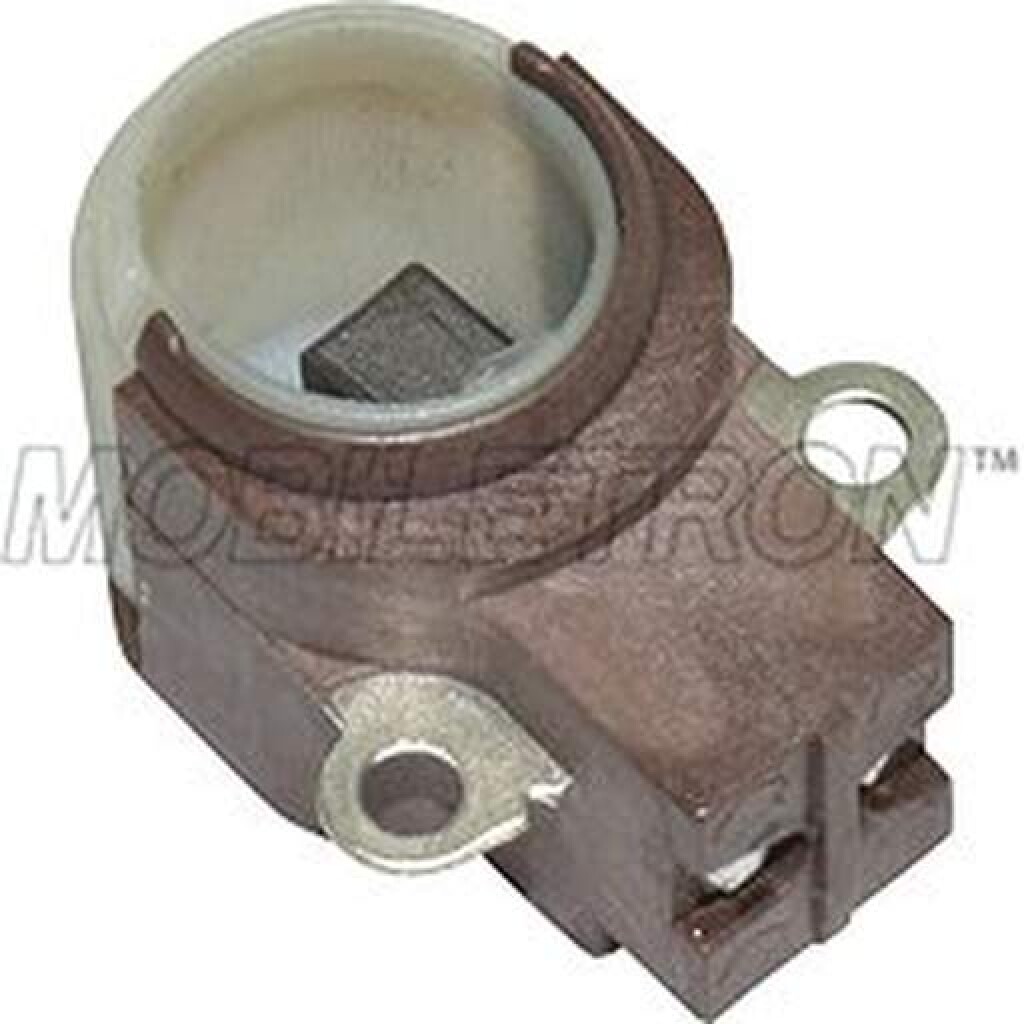 Porta carbones alternador