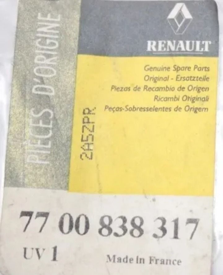 Burlete Luneta Renault Scenic Original
