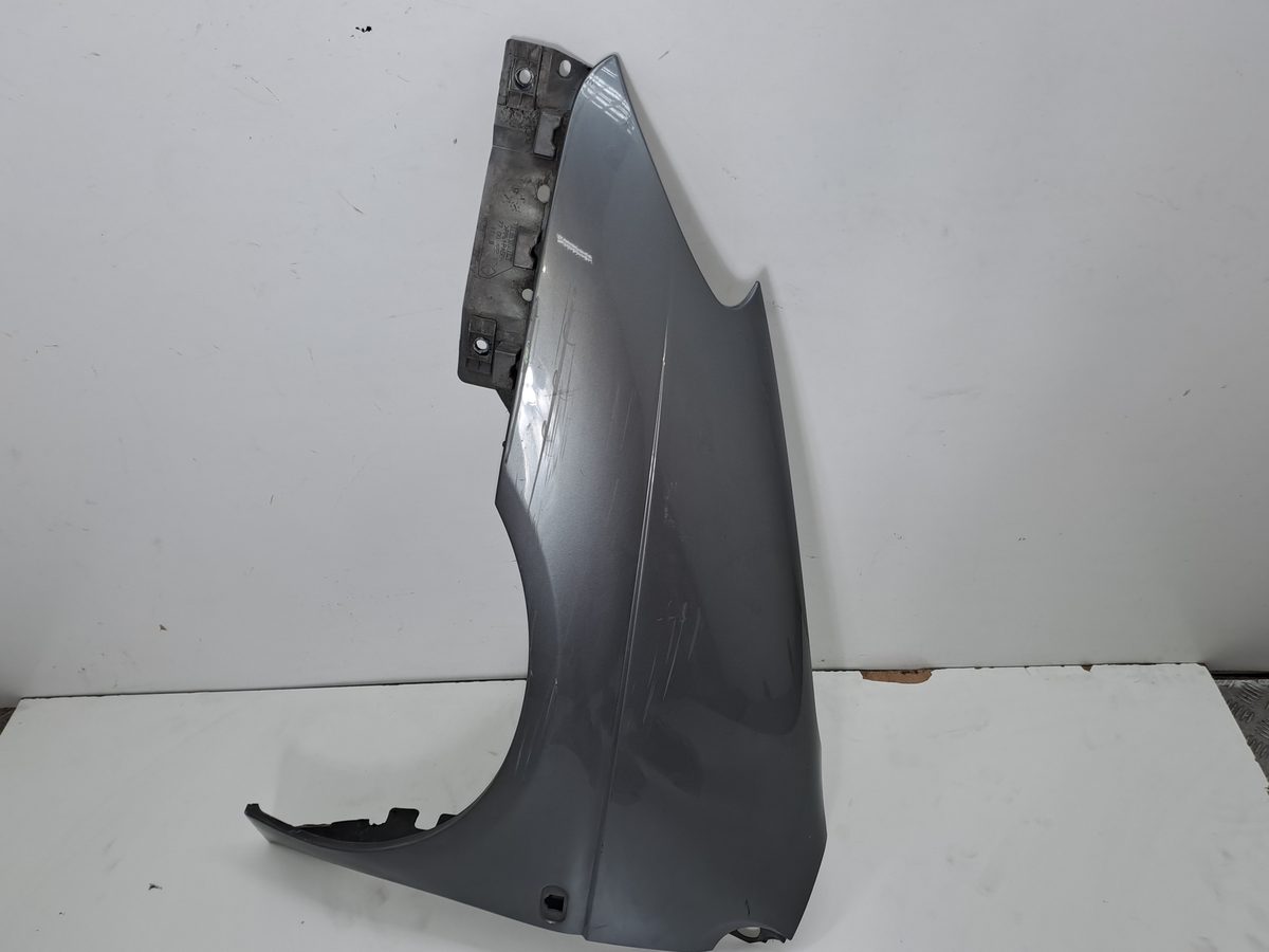 Guardabarro Delantero Izquierdo Renault Scenic (JA..) 1999-2003 RT