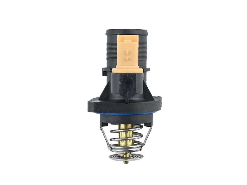 TERMOSTATO CI C4/C5/PE 307/407