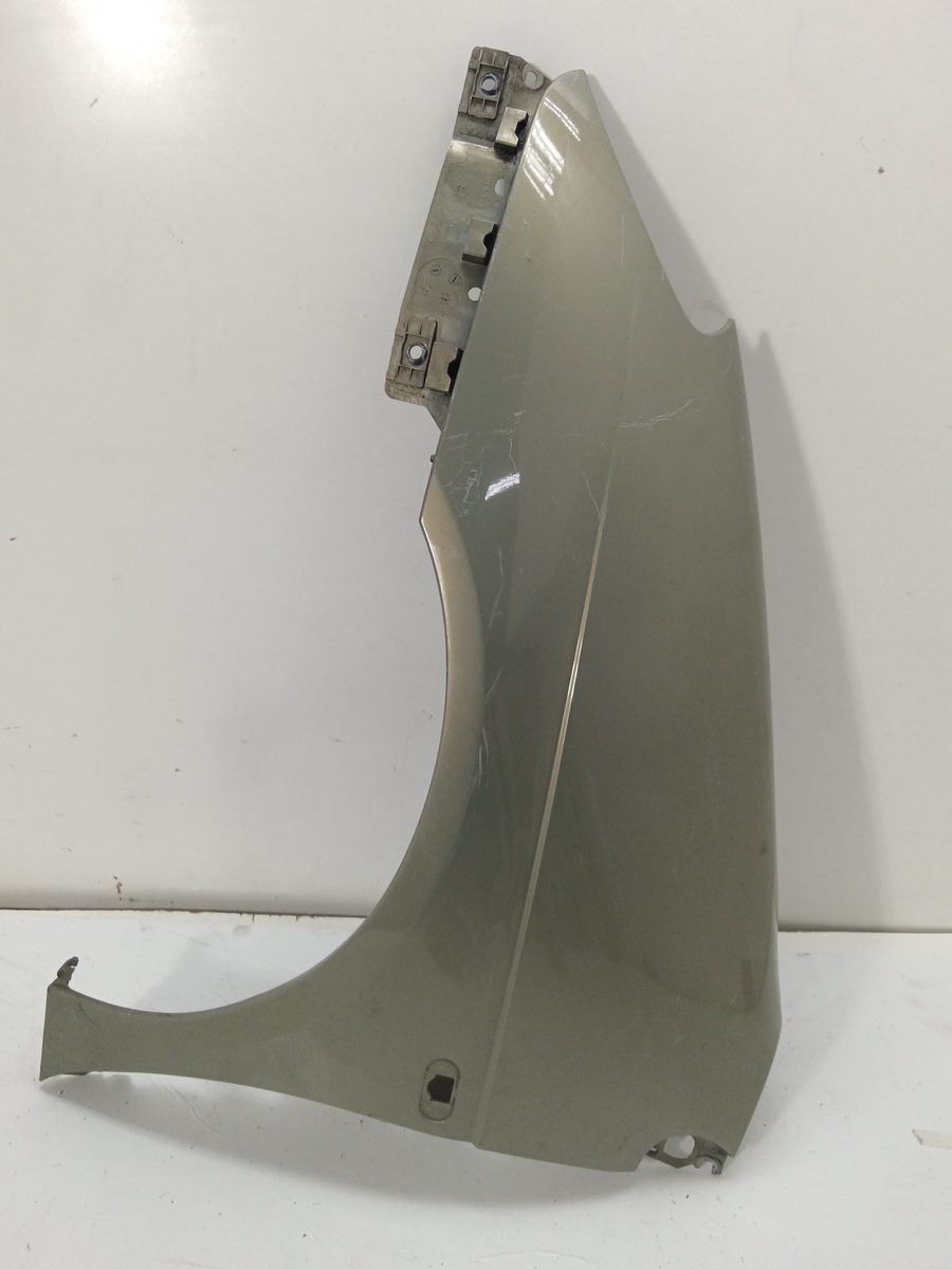 Guardabarro Delantero Izquierdo Renault Scenic (JA..) 1999-2003 Authentique