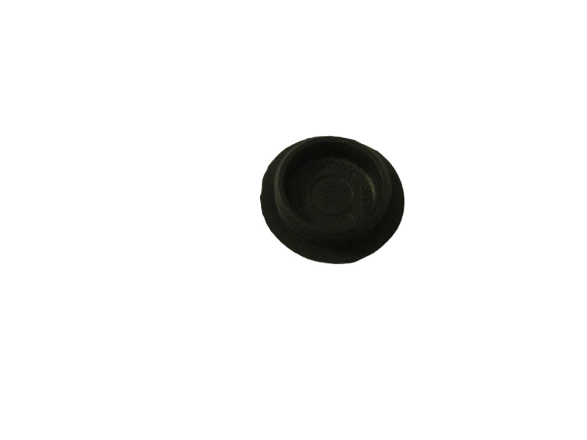 TAPA CUBIERTA TORNILLO CHEVROLET ASTRA