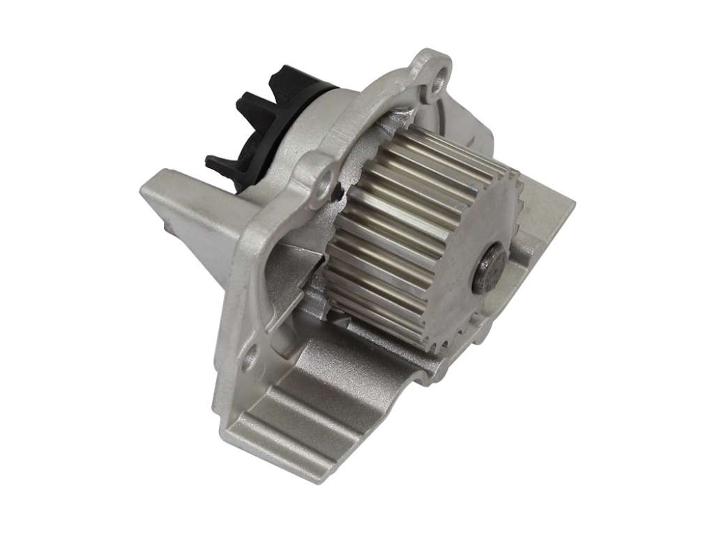BOMBA AGUA PE 306/405 60MM CON RESPALDO