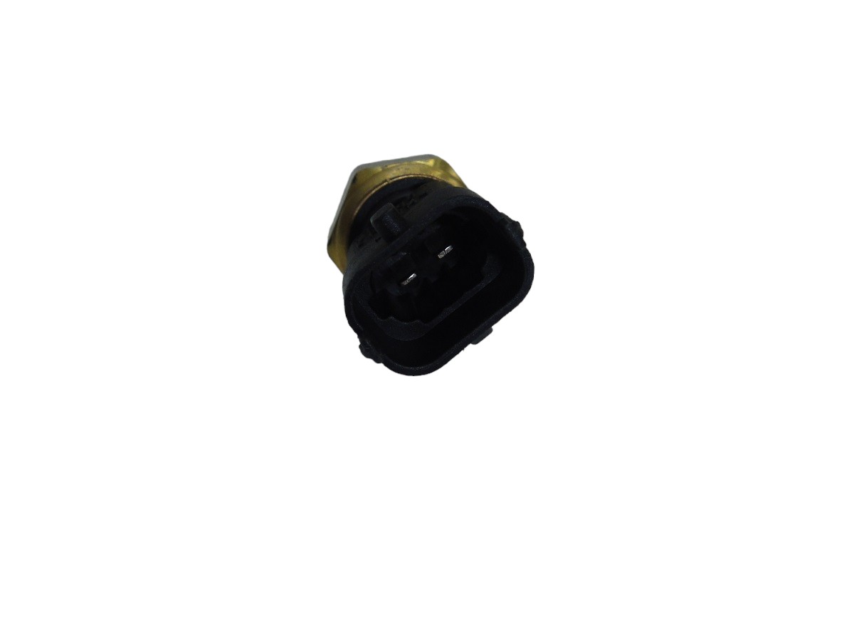 BULBO TEMPERATURA MOTOR JMC N900 ( EURO 3 )