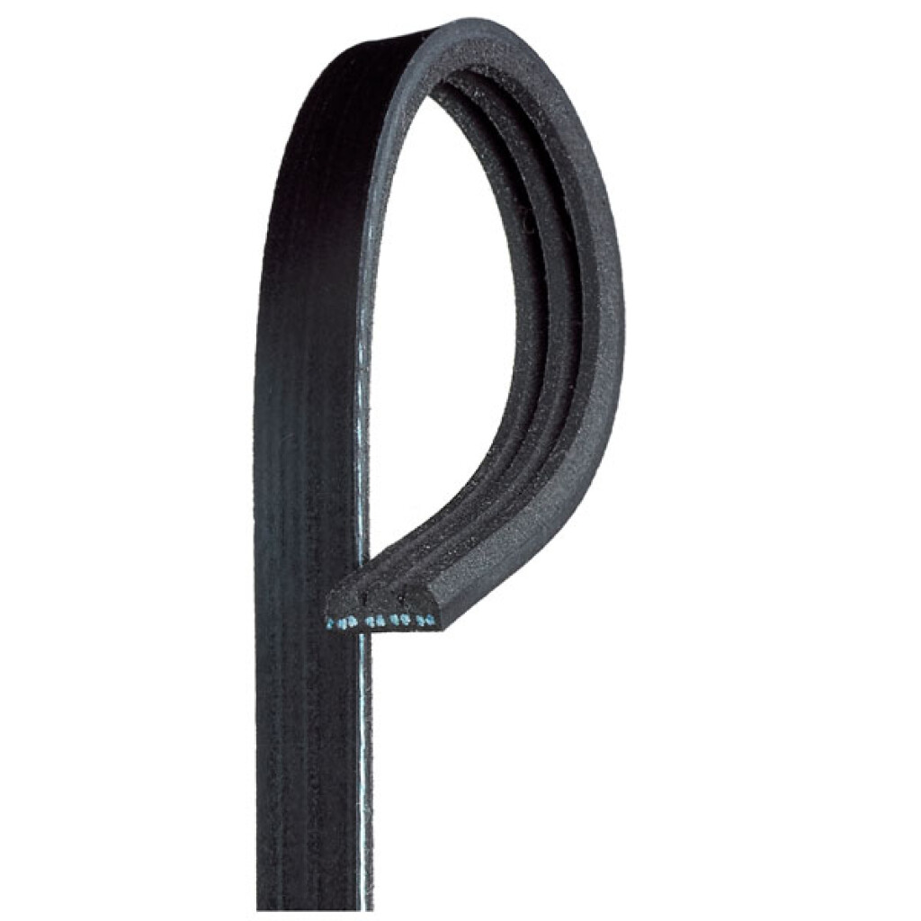 Correa de accesorios elástica