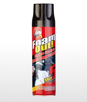 LIMPIA MOTOR EN SPRAY
