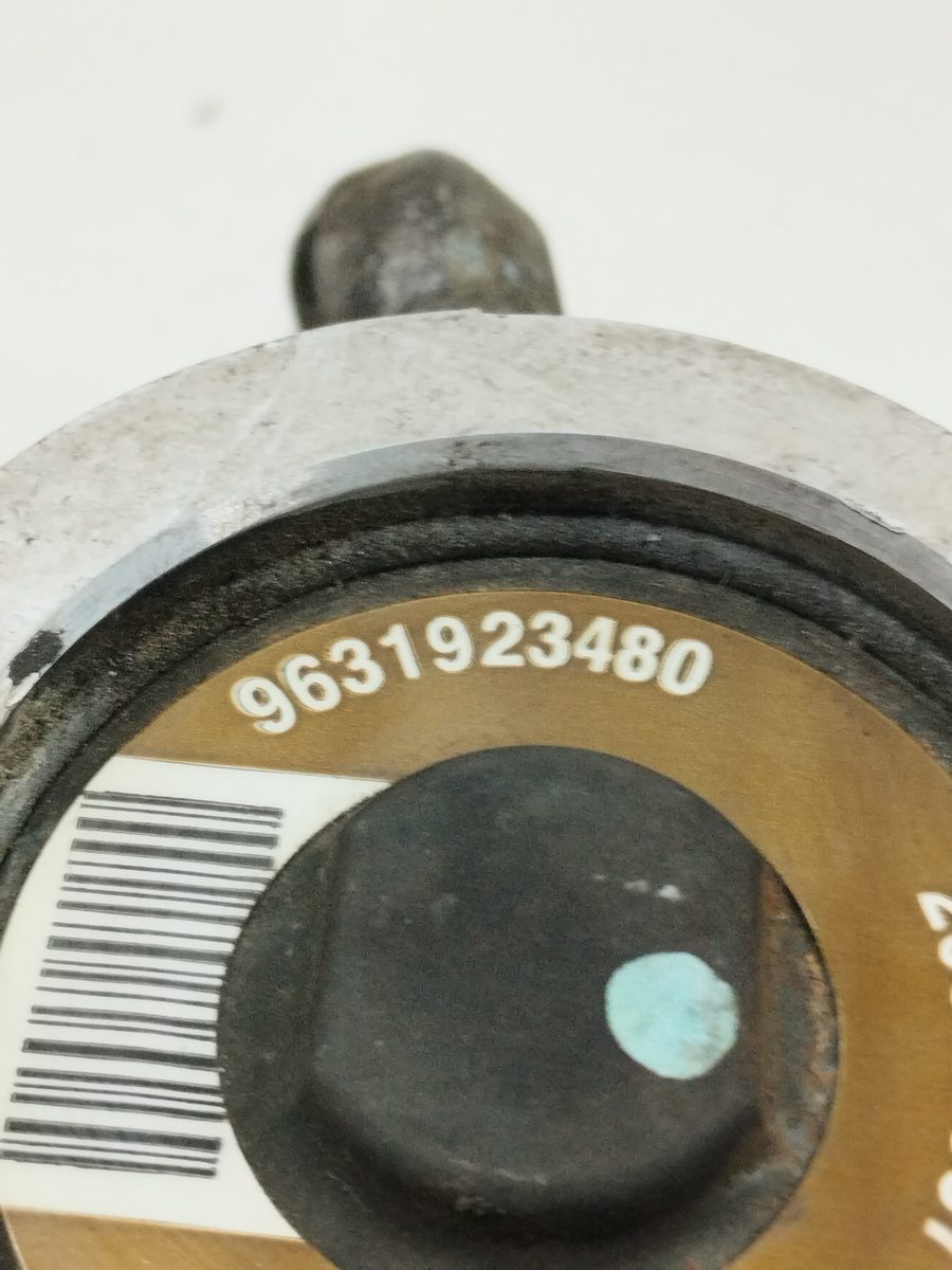 Bomba Direccion Citroën Xsara Berlina 1997-2005 1.9D Seduction 1.9L 51kW 9631923480