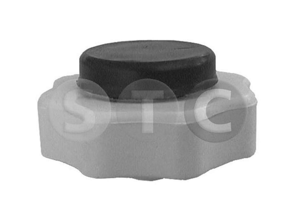 TAPON DEPOSITO RE 19/CLIO/TWINGO 1.4BAR
