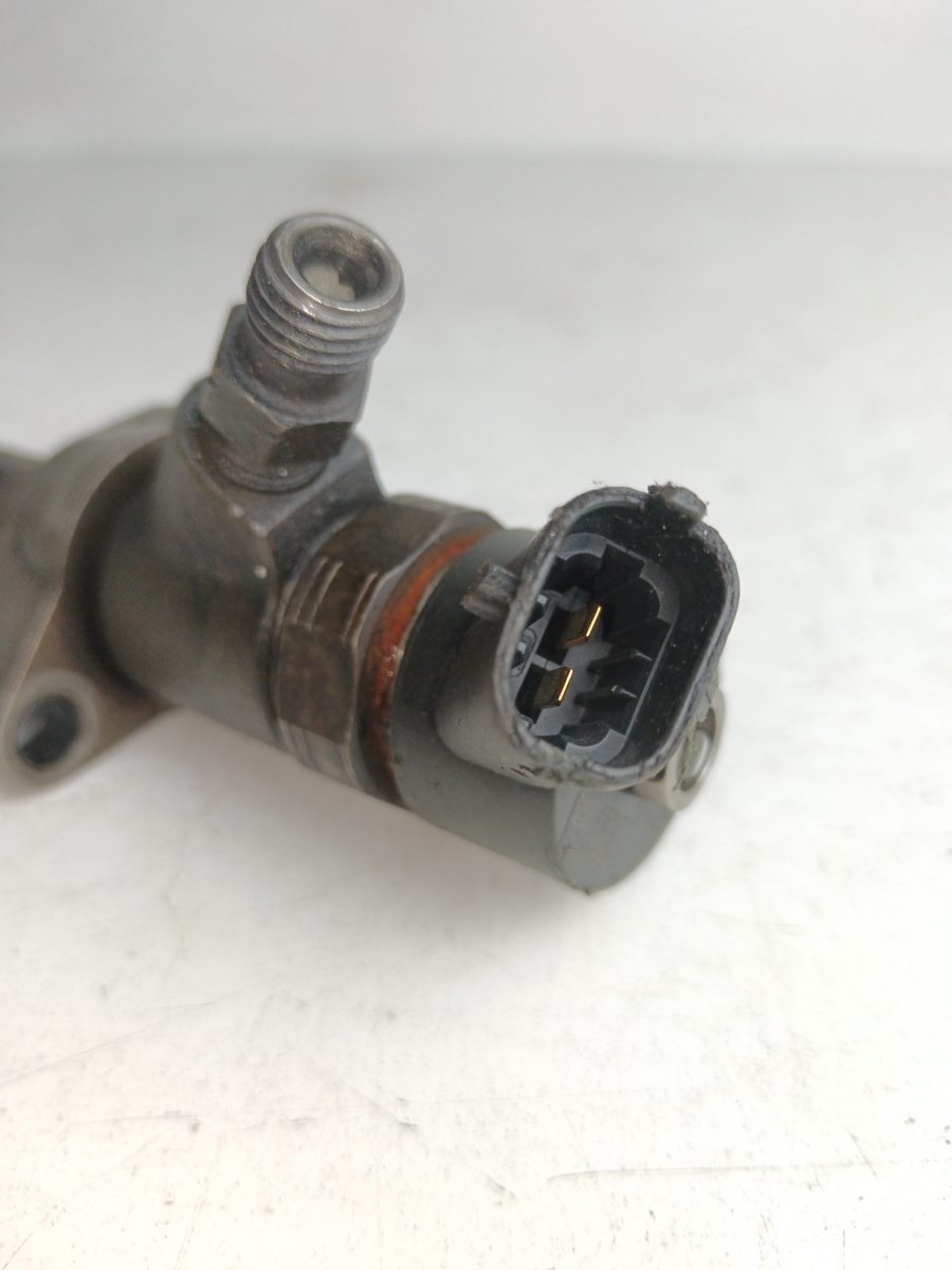 Inyector BMW X5 (E53) 2000-2007 3.0 24V Turbodiesel CAT 3.0L 135kW 0445110239