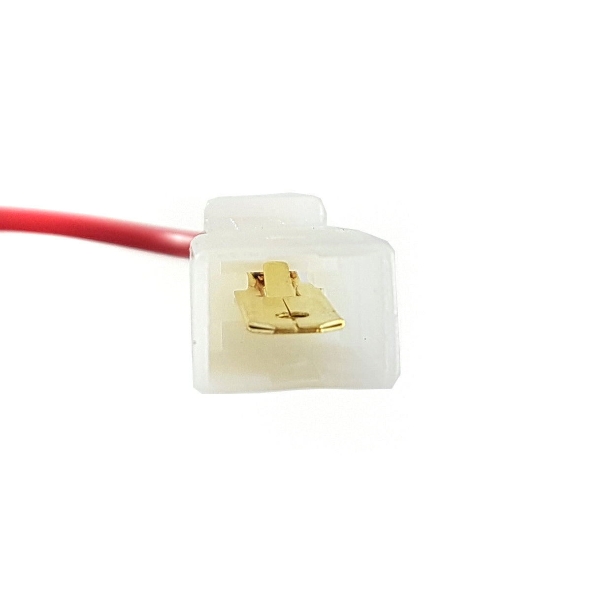 Enchufe Macho Universal 1 Terminal