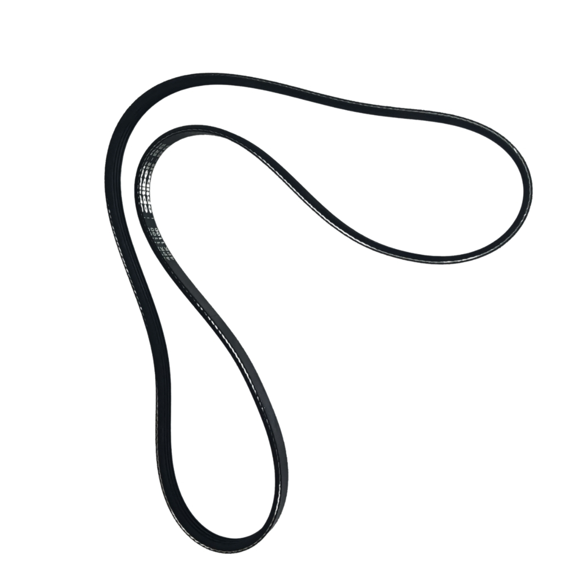 Correa Bomba De Dirección Zx Auto Gt 2.4 Terralord