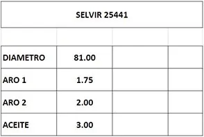 AROS  81.0mm RENAULT R19 1.7 N  STD CTI