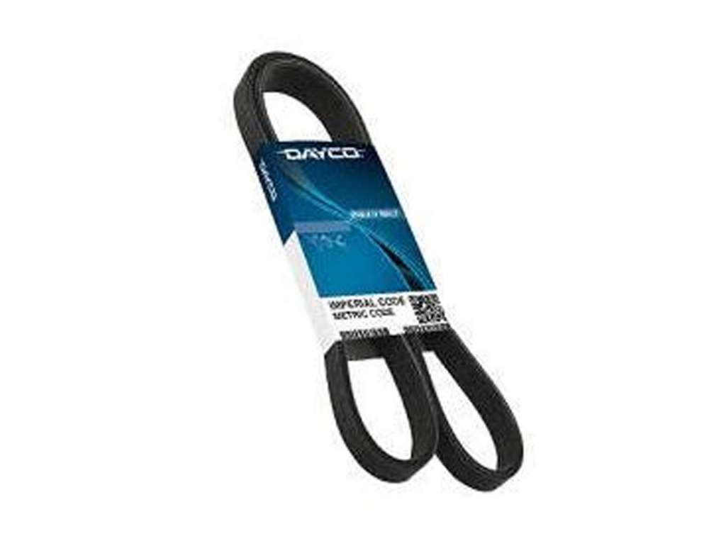 Correa de accesorios elástica