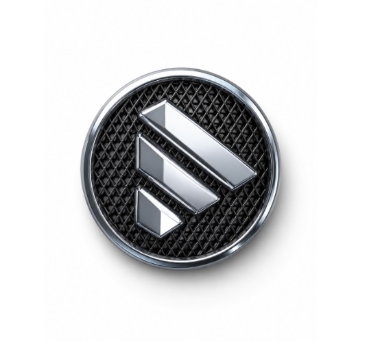 EMBLEMA CARETA FOTON VIEW (140mm)
