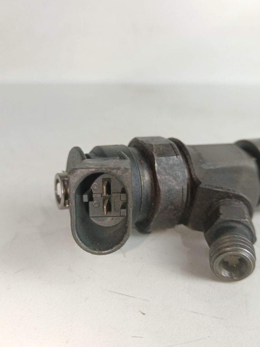 Inyector BMW X5 (E53) 2000-2007 3.0 24V Turbodiesel CAT 3.0L 135kW 0445110131