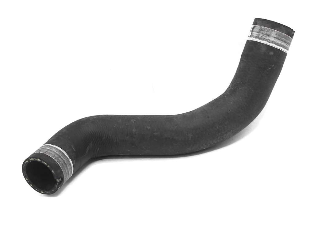 MANGON AGUA FI PALIO INF. RADIADOR