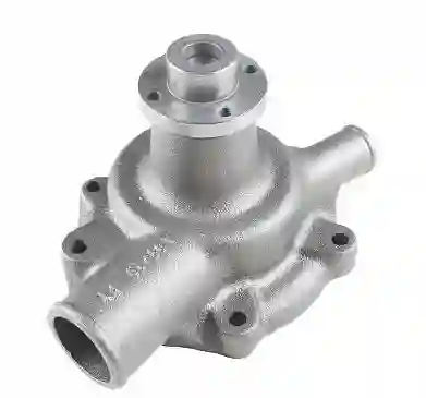 BOMBA AGUA MWM D229 TURBO