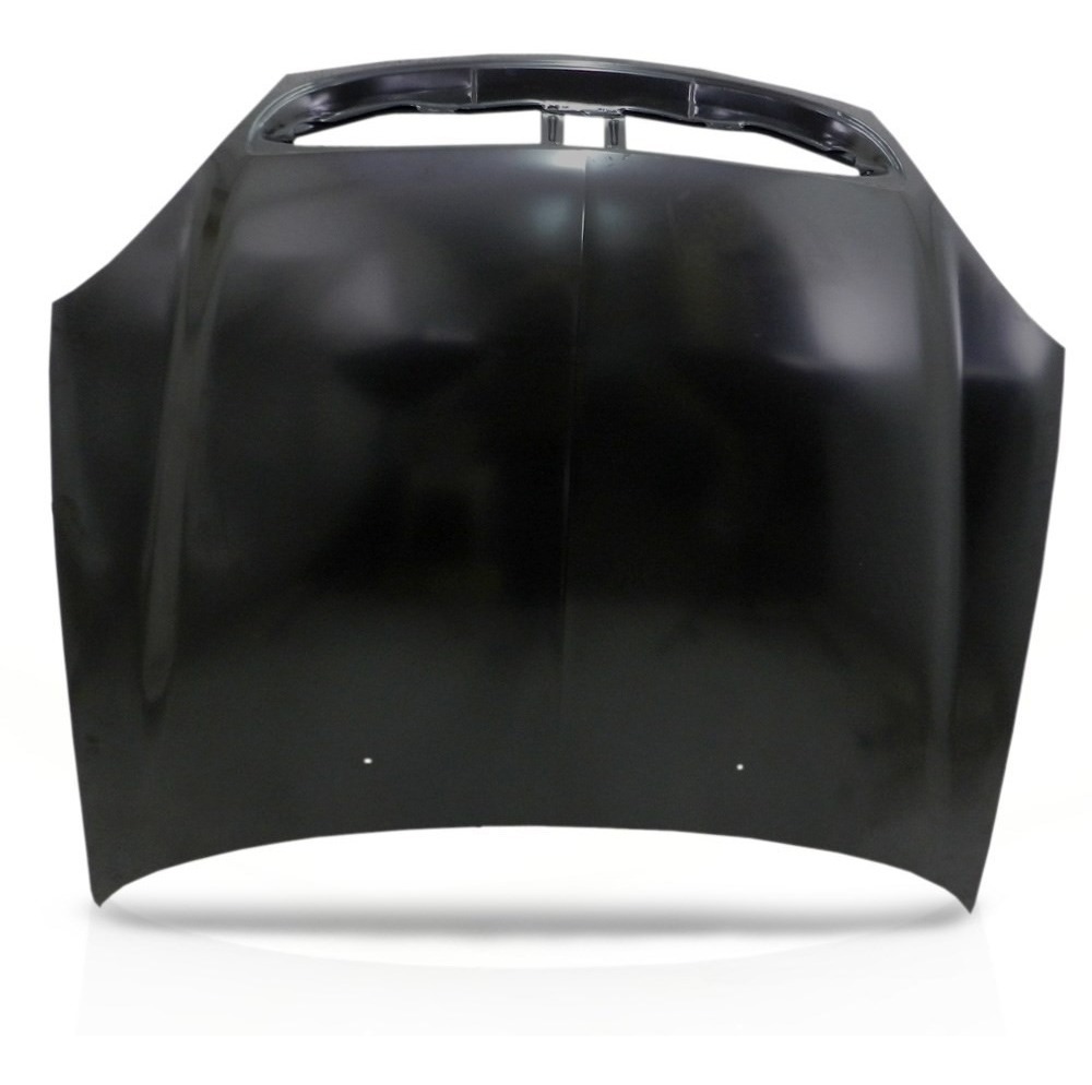 CAPOT ESPOLON CITROEN XSARA II ALTERNATIVO [ALTERNATIVO]