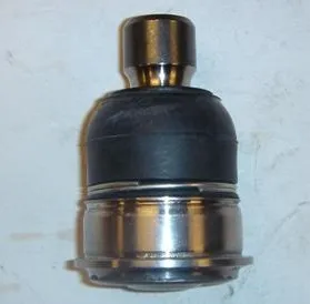 Rótula inferior