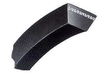 Correa dentada