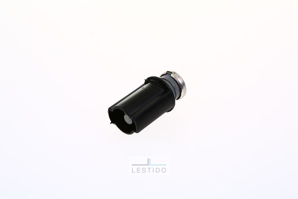 CILINDRO TAPON COMBUSTIBLE SURAN (CHASIS