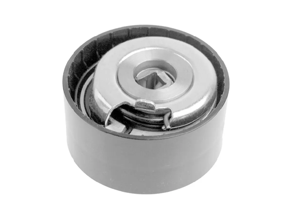 Tensor Correa Distribucion Renault Captur Laguna Duster Megane Sandero Oroch Scenic 1.8/2.0 98-25