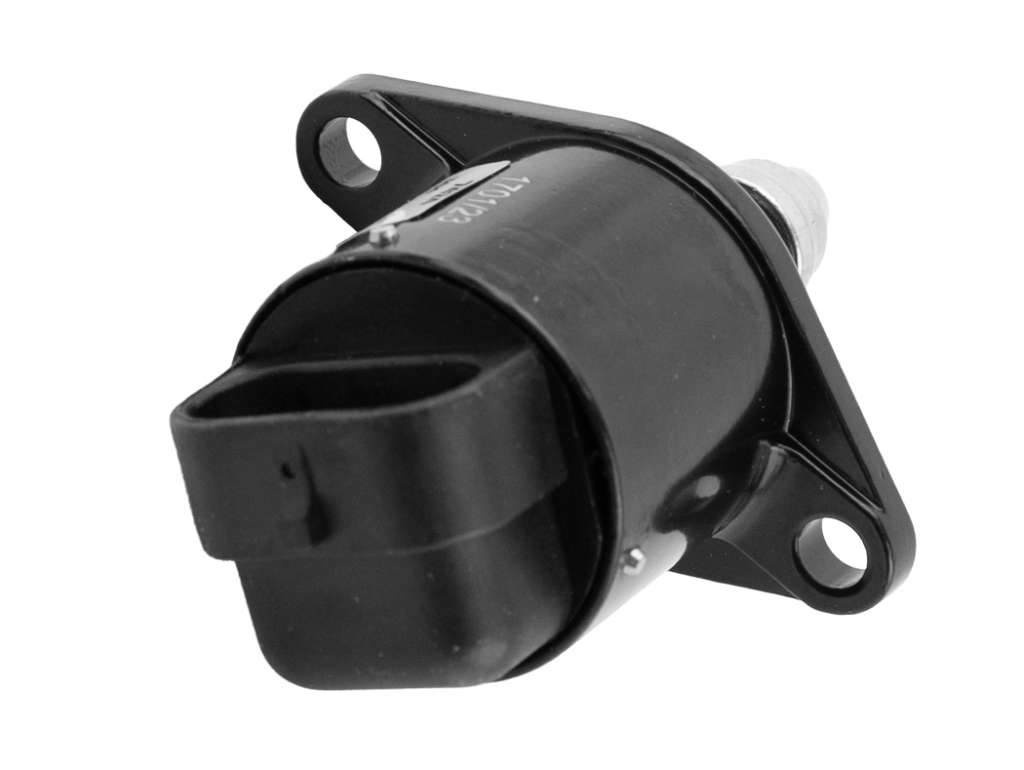 MOTOR PASO A PASO INYECCION PE 106/205/306/PARTNER/CLIO/TWINGO/EXPRESS