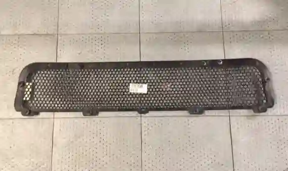 Rejilla de paragolpes delantero