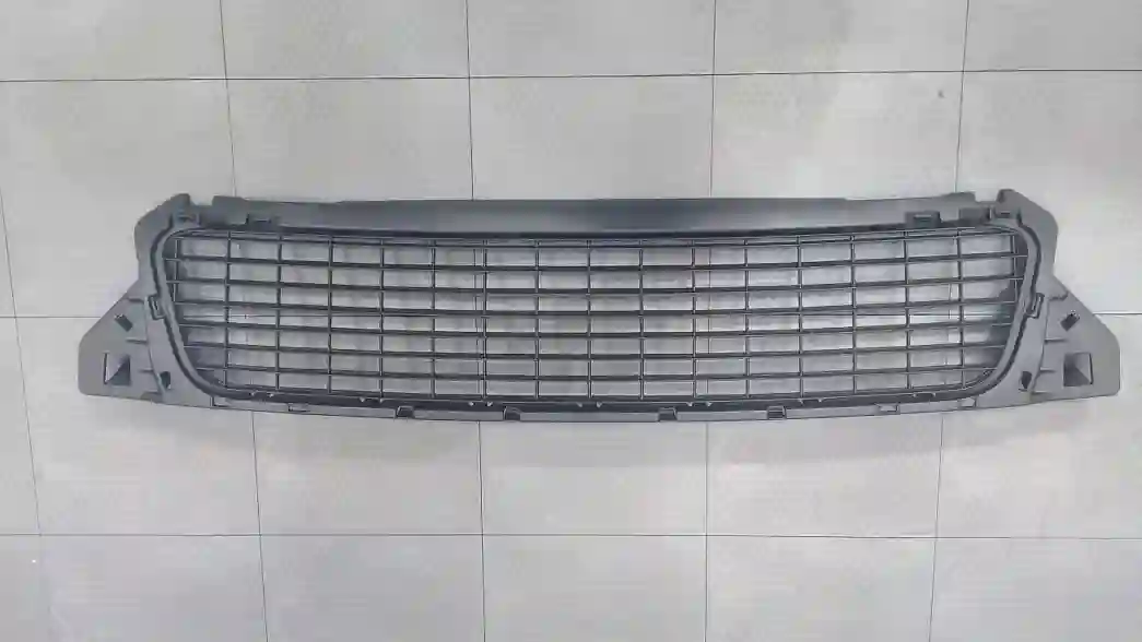 REJILLA PARAG DEL RENAULT DUSTER 11