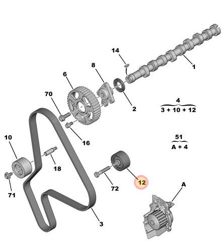Rulemán tensor correa distribución