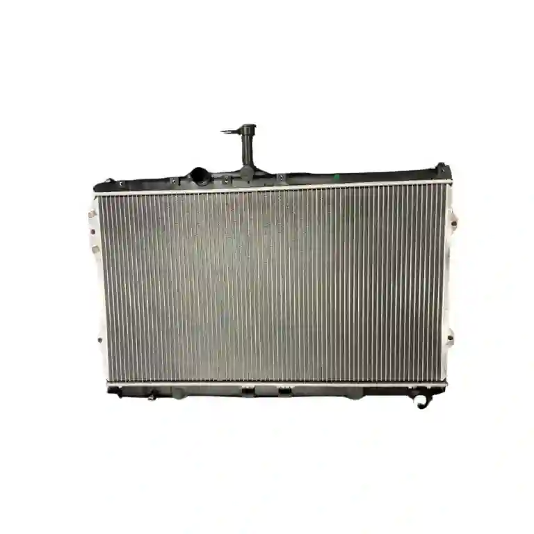 Radiador de agua delantero