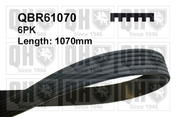 CORREA 6PK X 1070 CIT-PEU C3 II,C4 CAC,C-ELY / 208,301,308,2008 1.2(EB