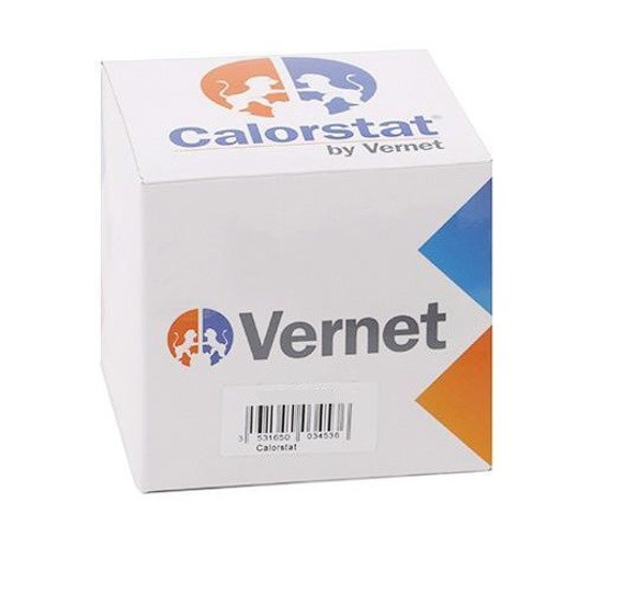 TERMOSTATO RENAULT CLIO III/MEGANE II 2005/2010 (K4M)