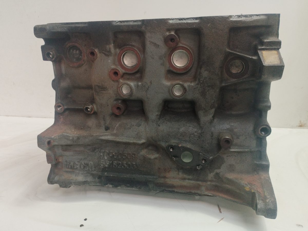 Block Fiat Grande Punto (199) 2005-2012 1.9 8V JTD CAT 1.9L 96kW 199A5000