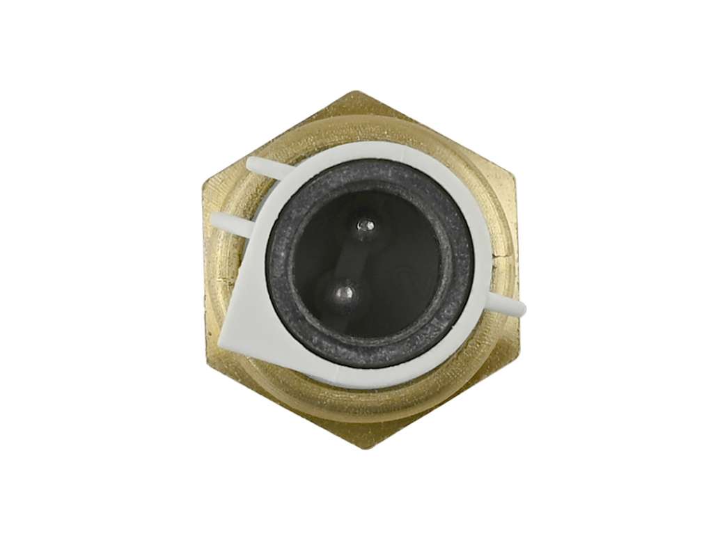 SENSOR AIRE FO FIESTA CAUDAL AIRE