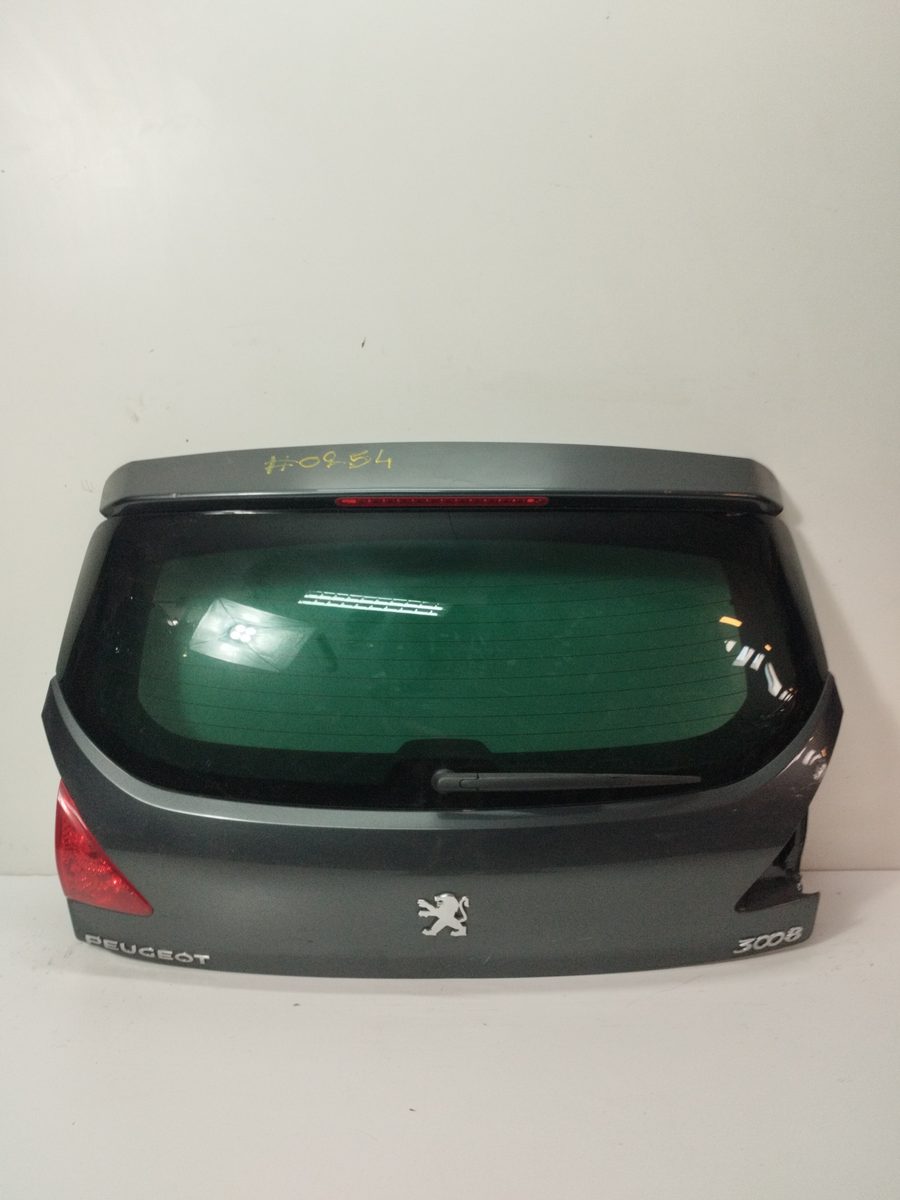 Porton Trasero Peugeot 3008 2009-2016 FAP CAT (9HZ / DV6TED4)
