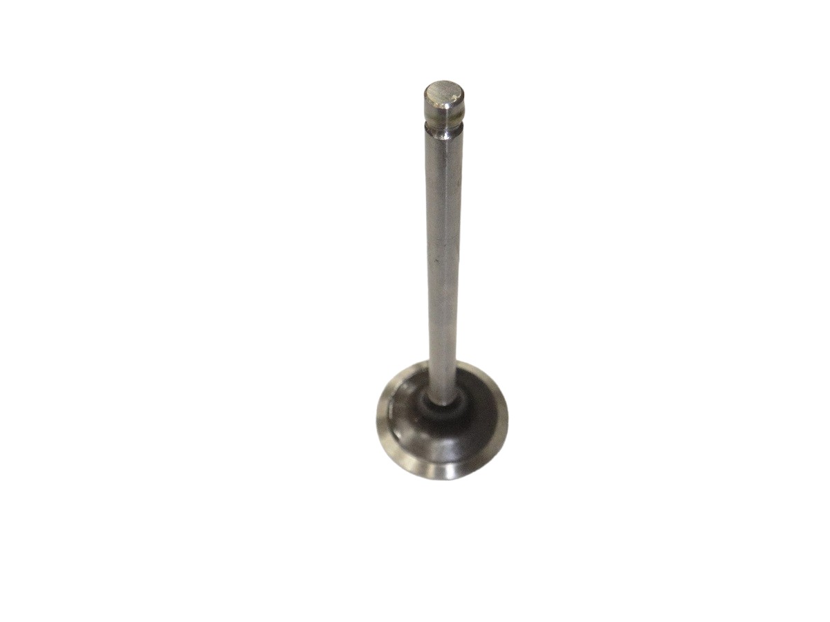 VALVULA ADMISION ISUZU 4DE1 JAC 1048 2020/