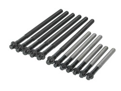 TORNILLO TAPA CILINDRO BMW 120i