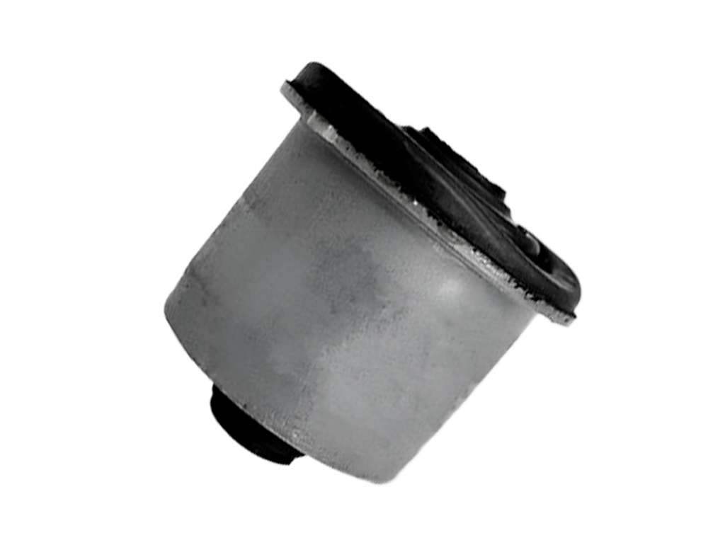 BUJE EJE TRASERO CI C3 22/