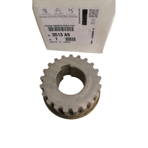 ENGRANAJE CIGÜEÑAL PEUGEOT CITROEN 2.0HDI DW8 21 DIENTES CHAVETA GRUESA EXPOYER