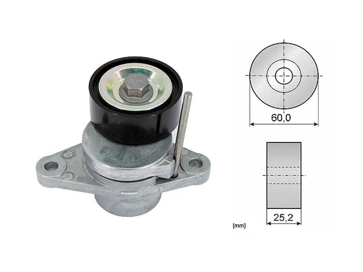 Tensor Correa Accesorios Renault Sandero Duster Logan Oroch Stepway 10-25