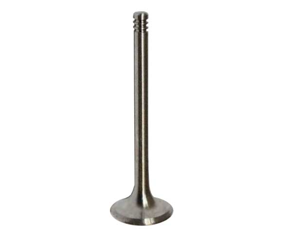 VALVULA ADMISION (1.6 MPFI 16V)