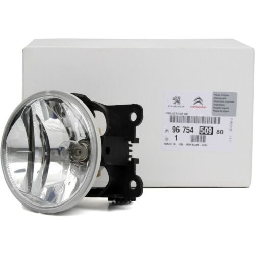 Faro auxiliar delantero