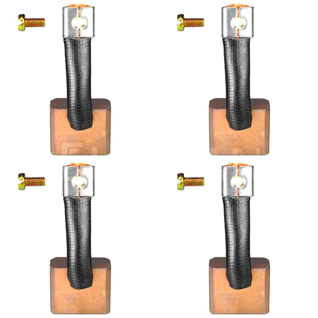CARBON ARRANQUE - BOSCH 12V 10X22X19mm ZOCCHIO