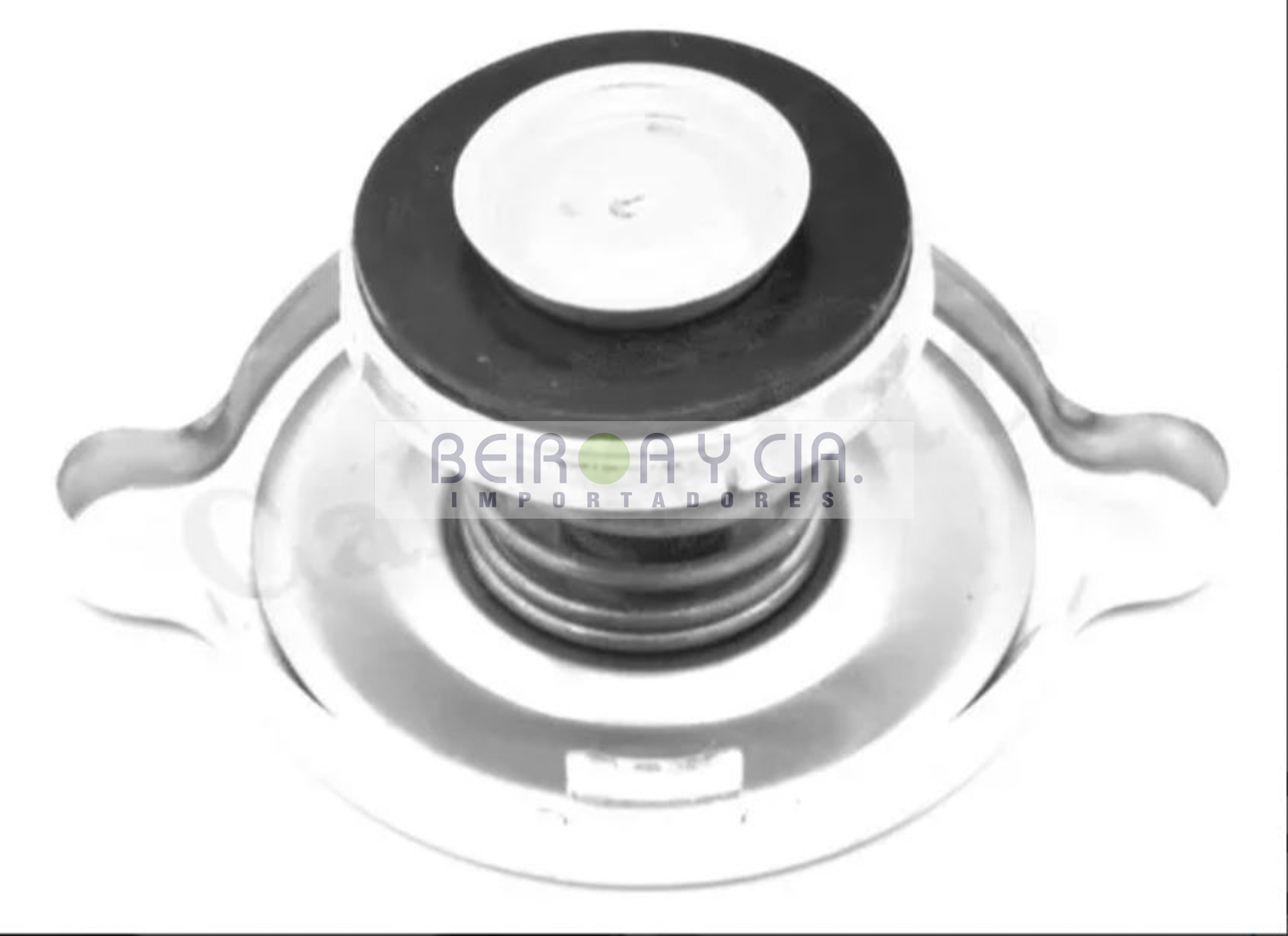 TAPON NAP J OREJA 11MM 030KG 4 LBS. RENAULT/RASTRO