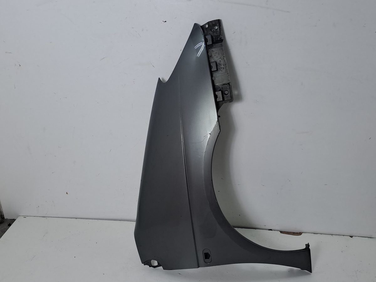Guardabarro Delantero Derecho Renault Scenic (JA..) 1999-2003 RT