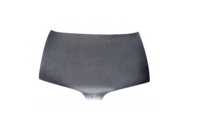 CAPOT ESPOLON RENAULT MEGANE HASTA AÑO 2001 [ALTERNATIVO]