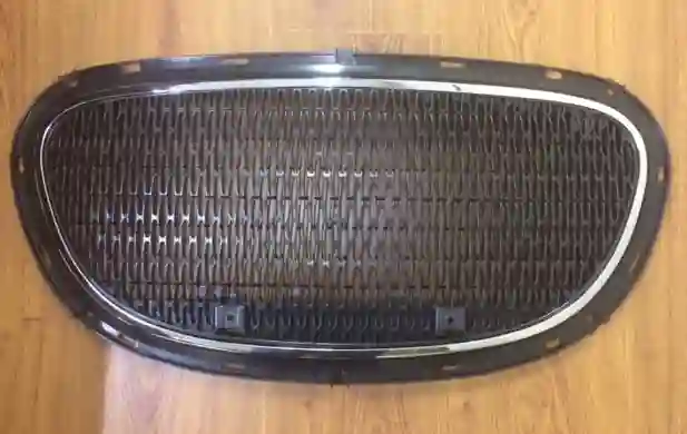 Rejilla de paragolpes delantero
