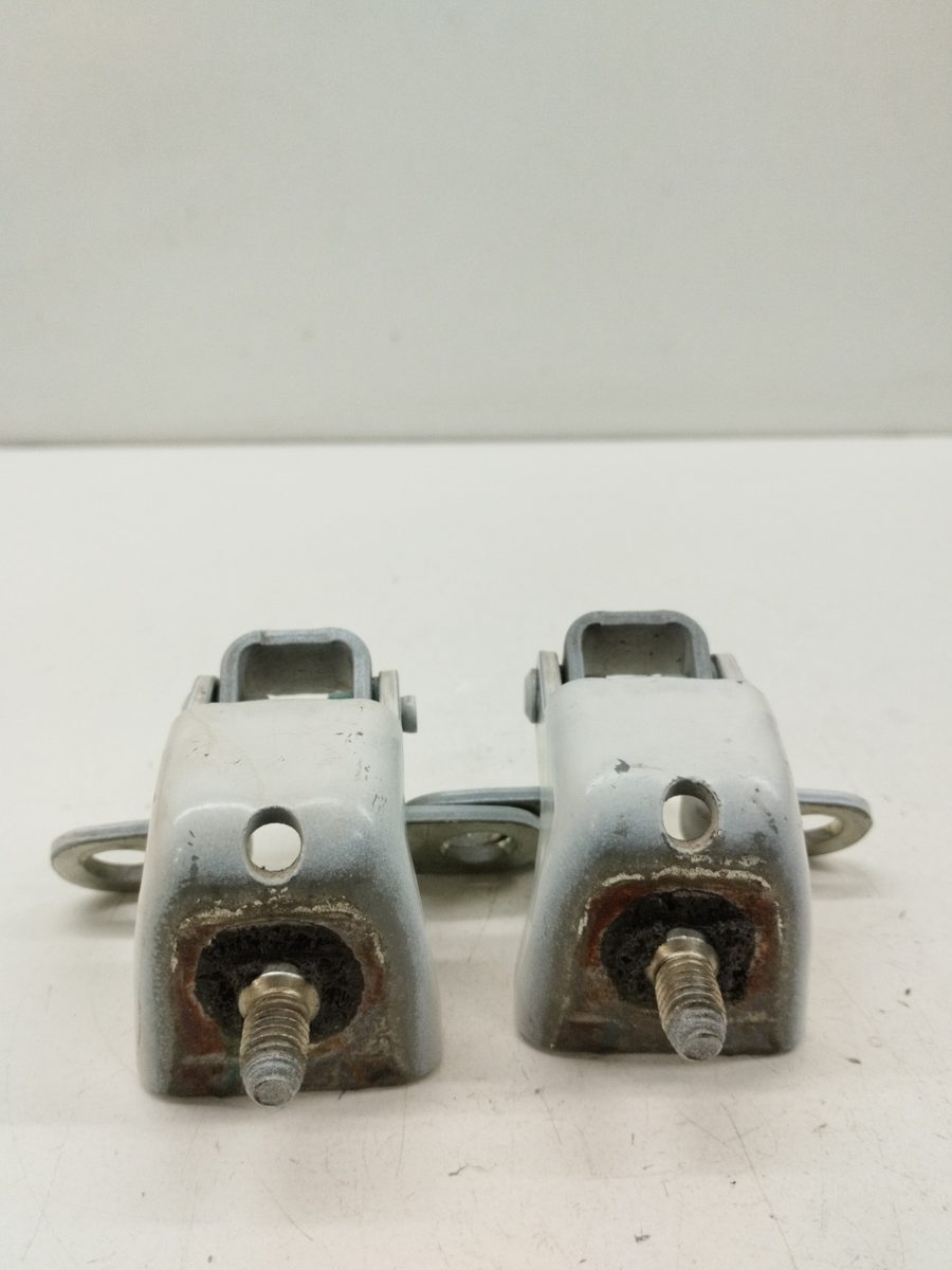Bisagra Porton Peugeot 2008 2018-2020 BLUEHDI 841098