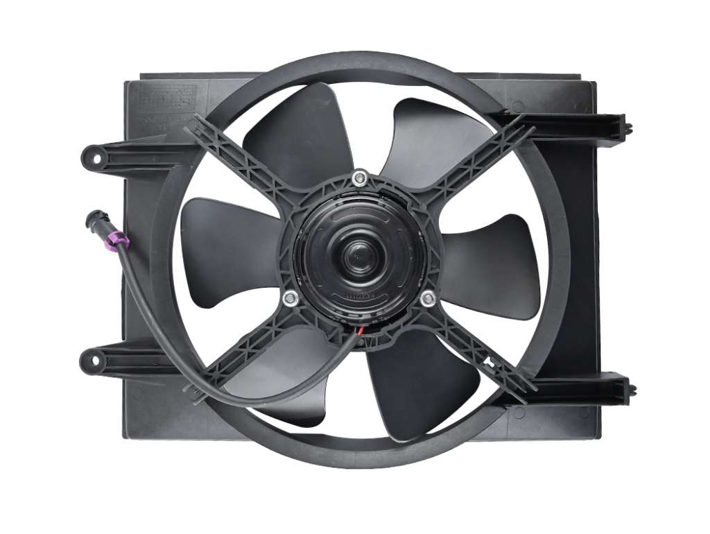 Conjunto de electroventilador